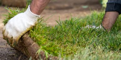 Expert advice on sod installation 