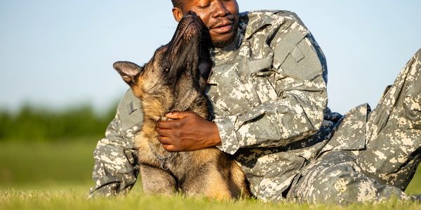 PTSD Service Dog with veteran