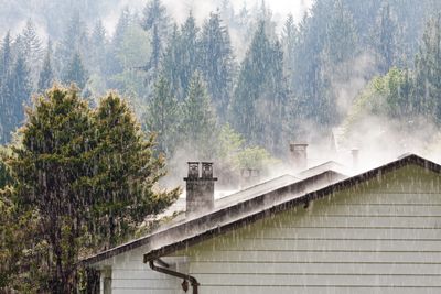 Rain falls heavily on rooftops surrounded by mist and pine trees.