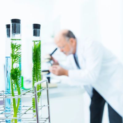 Scientist examining plant samples in test tubes.
