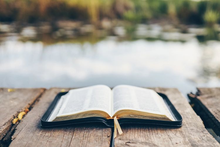 Open book on wooden dock by a calm lake with blurred greenery.