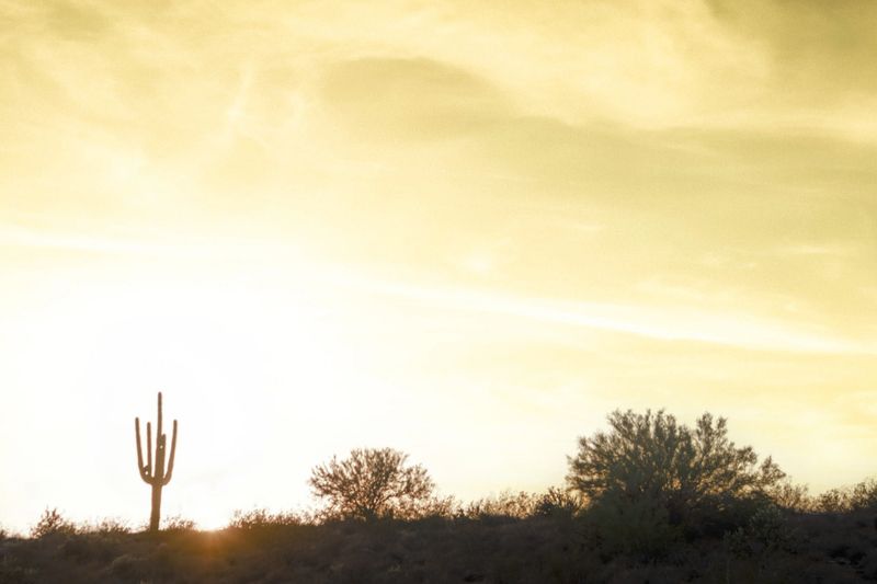 The sun setting over the desert under a dramatic sky with a saguaro cactus in the foreground.
