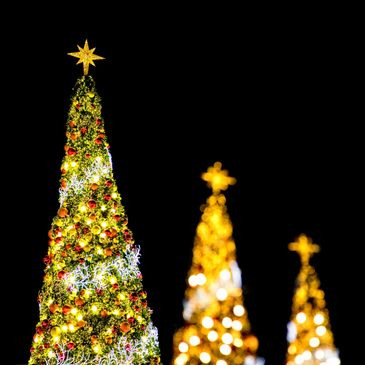 Decorated and illuminated Christmas trees glowing brightly at night.