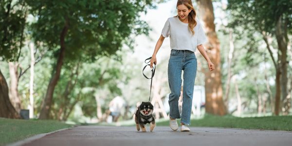A woman walking her happy dog in a lush green park.