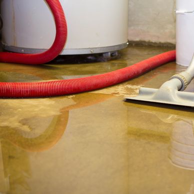 A red hose and vacuum cleaning water from a flooded basement floor.