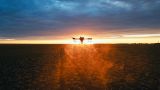 How AI Is Transforming Australian Farming