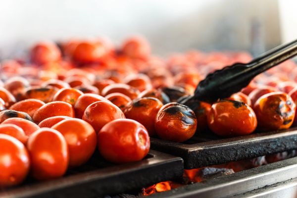 Tomatoes being roasted over an open flame grill.