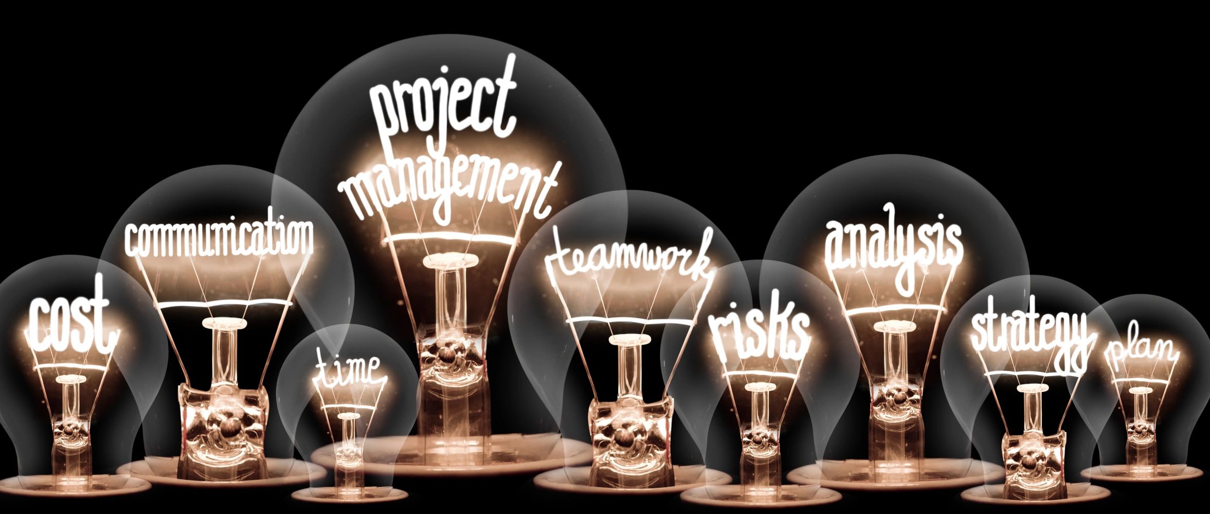 Light bulbs with project management terms glowing inside.