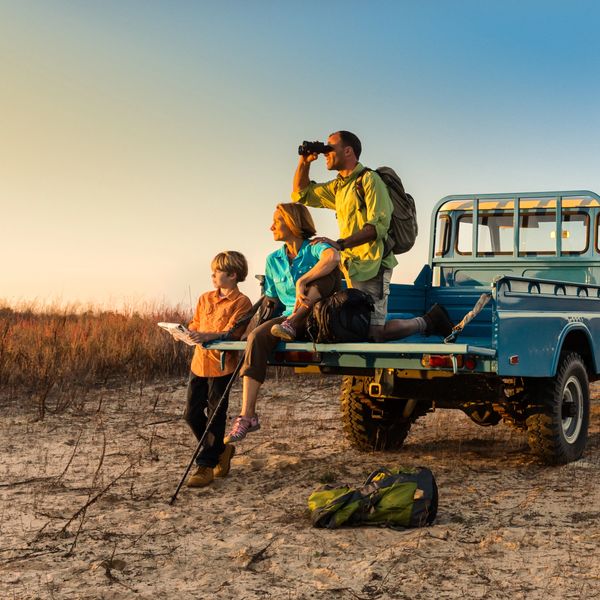 Family enjoying sunset safari from a blue truck's tailgate.