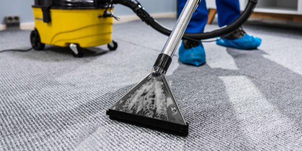 Carpet being cleaned with specialized vacuum.