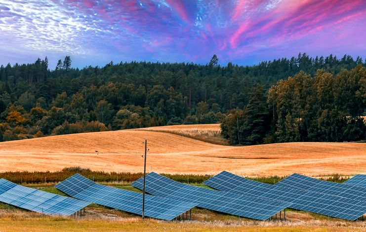 Countryside landscape during sunset with cluster of solar panels among ripe crops of wheat or rye and pine forest on horizon