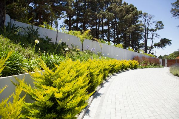 Landscaping services in JP Nagar Bangalore for villas with garden landscaping and lawn development