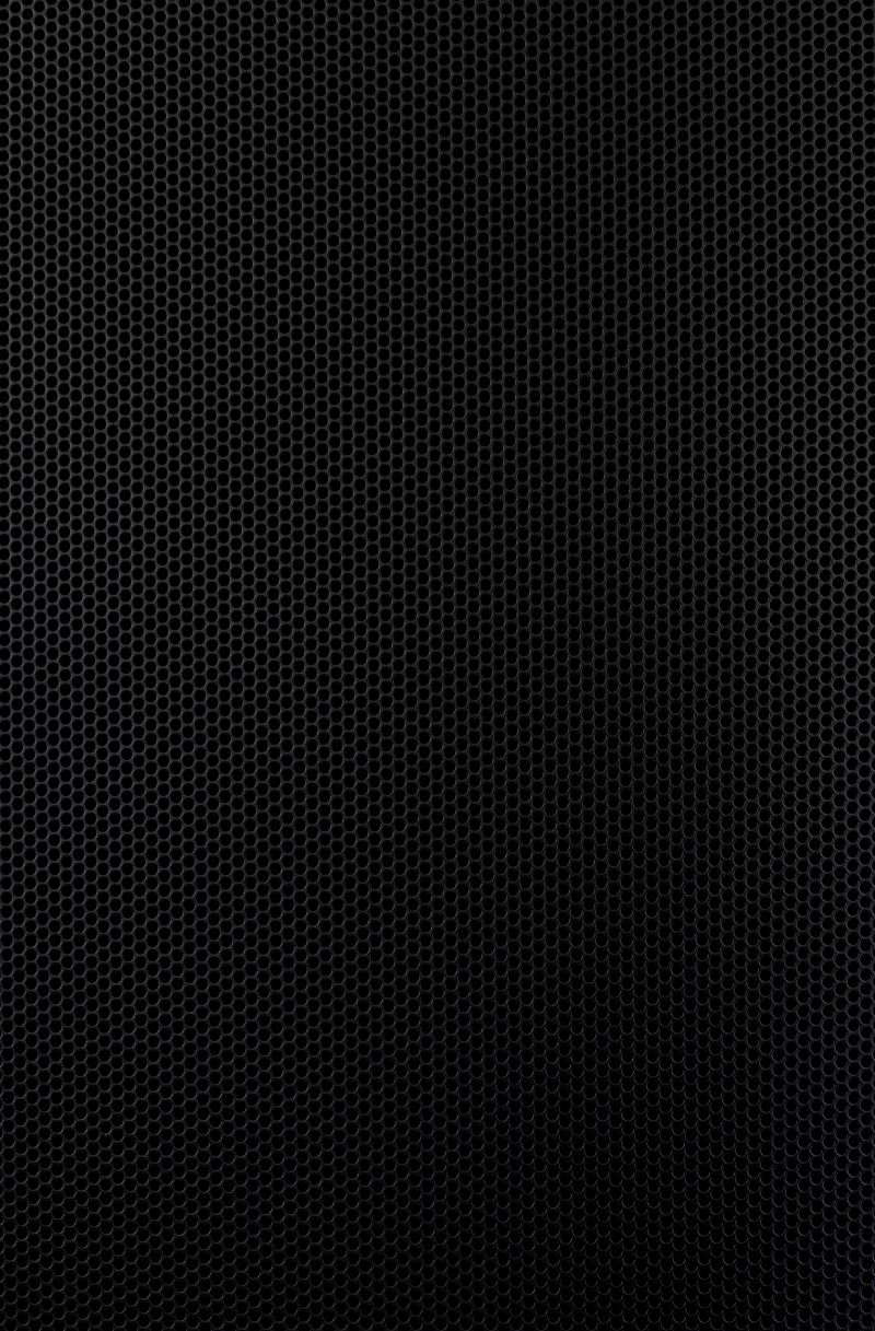 Speaker grille