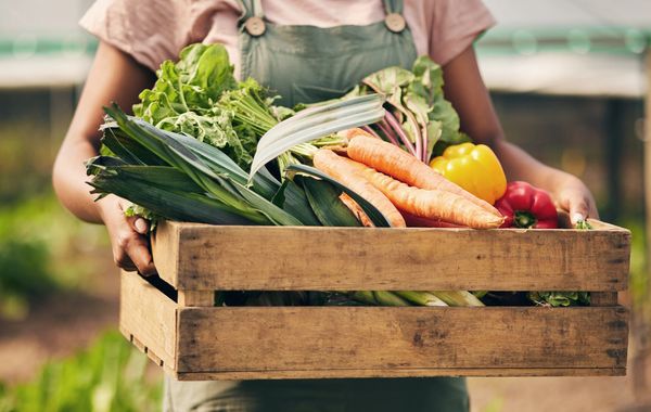 Nutritious garden vegetables