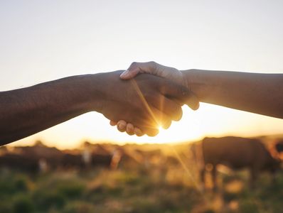 Collaborative Family Law
Mediation

