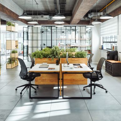 Modern office with wooden desks, ergonomic chairs, and abundant greenery at Kiranodday Square Patna