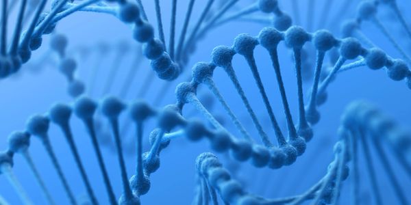 Close-up of a DNA double helix structure in blue hues.