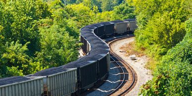 A long coal train curves through a lush green forest.