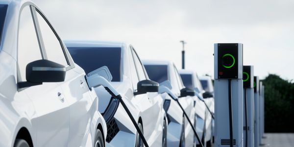 Padma mccord Investments Real Estate Business Investor New Homes,