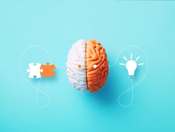 A 3D model of a brain connected by lines to a puzzle piece and a lightbulb icon.