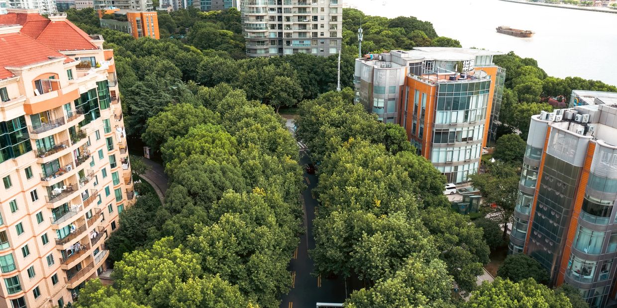 Riverfront cityscape with high-rise buildings and lush trees.