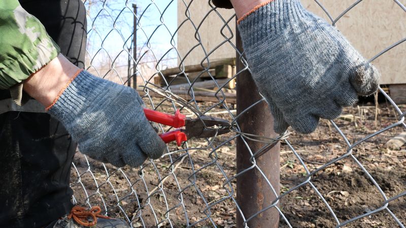 hands in textile gloves with pliers attach galvanized mesh to an iron post using wire in the process of fencing an area on a farm or ranch, securing the metal mesh when installing a barrier