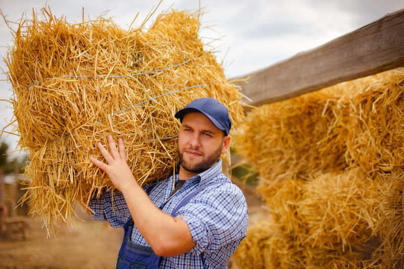 young bearded ethnic male farmer in working clothes carrying hay bale while working in countryside
