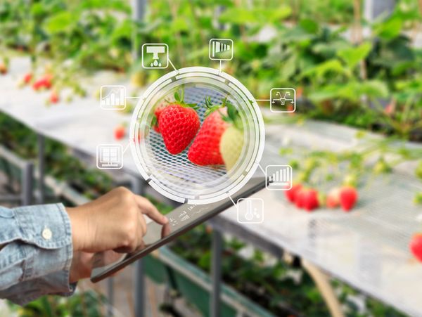 AGRICULTURE TECHNOLOGY