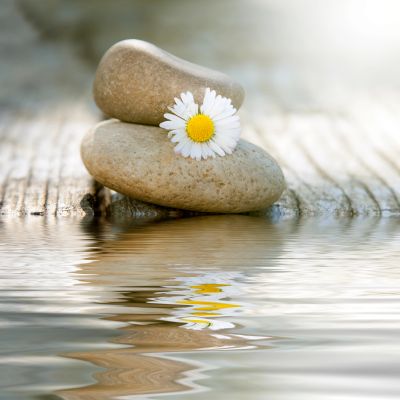 Stacked stones with a daisy and water reflection.