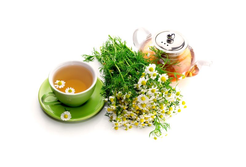 A bunch of chamomile, herbal tea in a green cup and a teapot on a white background close-up