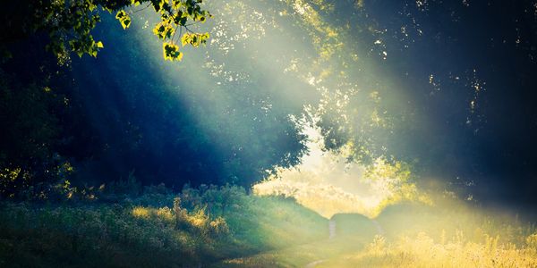 past life healing, soul healing, IRM Practitioner, Trauma Informed, Reiki,  Healing Circles