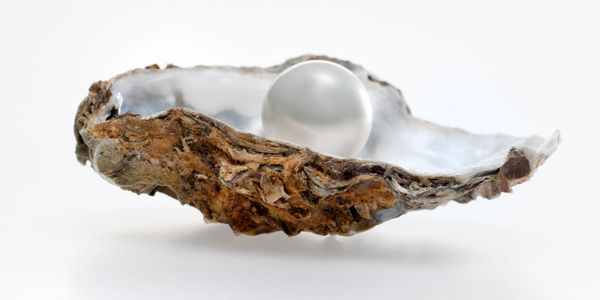 A pearl inside an open oyster shell on a white background.