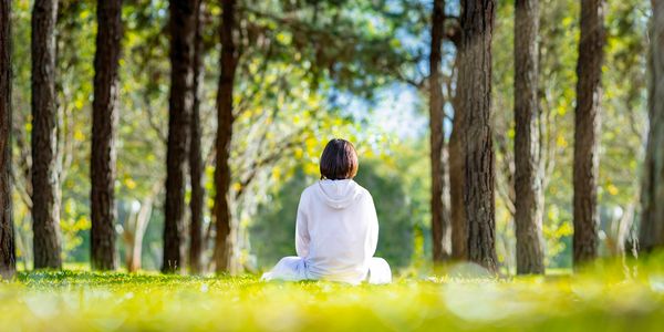 A person sitting in the middle of woods.
