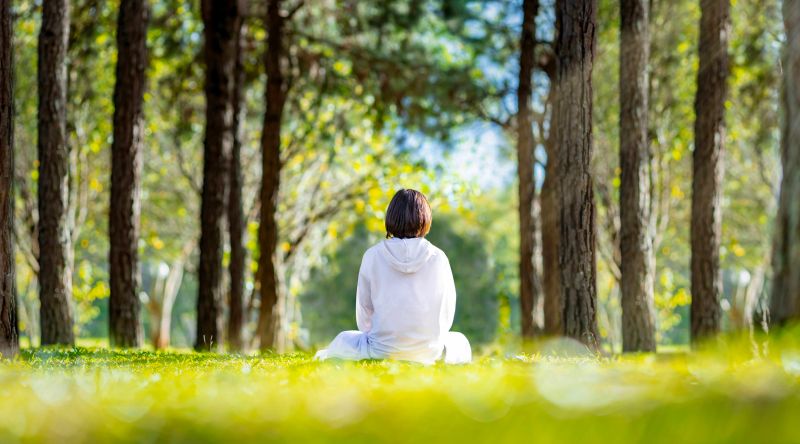 Woman relaxingly practicing meditation in the pine forest to attain happiness from inner peace wisdom with beam of sun light for healthy mind and soul for healthy mind and soul