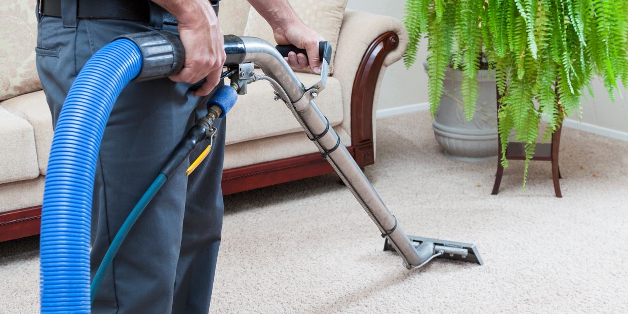 Person using a professional carpet cleaning machine in a living room.