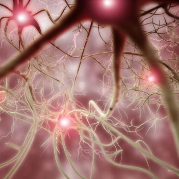 Neurons with glowing synapses in the brain.