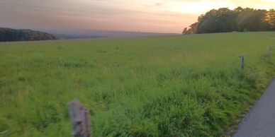 Sunset over an expansive grassy field with trees in the distance.
