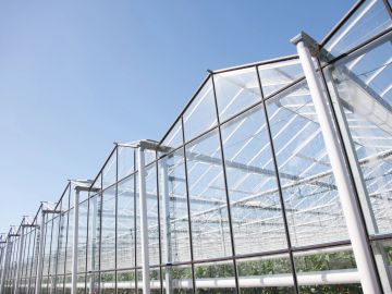 Modern glass greenhouse structure under clear blue sky.