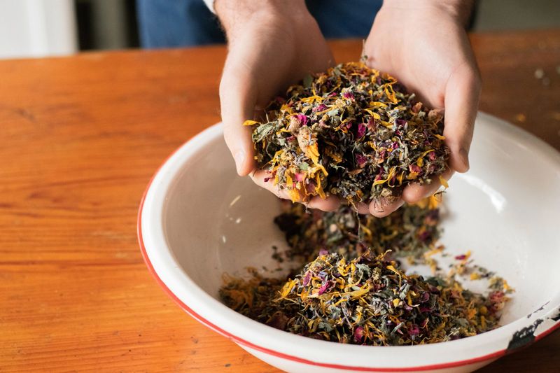 Woman's hands cradling a bowl of assorted tea leaves and herbs. in Bloomington, Indiana, United States