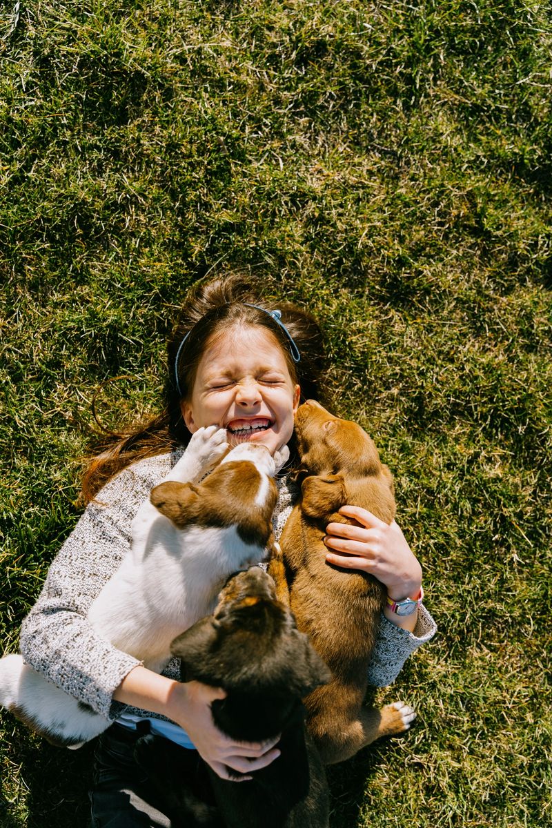 Above shot of little girl lying on the grass and sharing love and kisses with little puppies