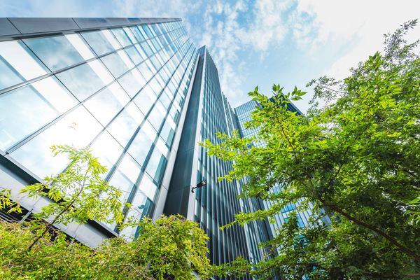 Recruitment in the city, business, green energy as Next Step focuses on renewables
