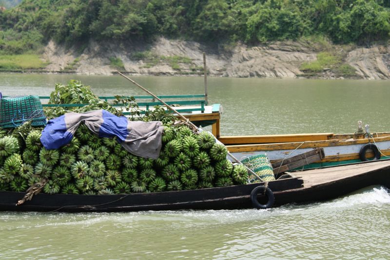 A boat crossing the river with bannana for selling