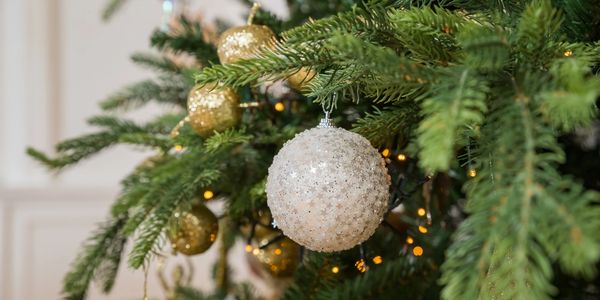 Close-up of a white star-covered Christmas ornament on a decorated tree.