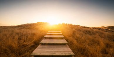 Wooden path leading through golden grass at sunrise.