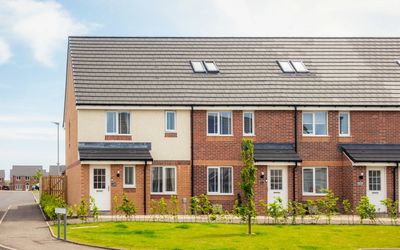 New suburban townhouses with neat landscaping and clear skies.