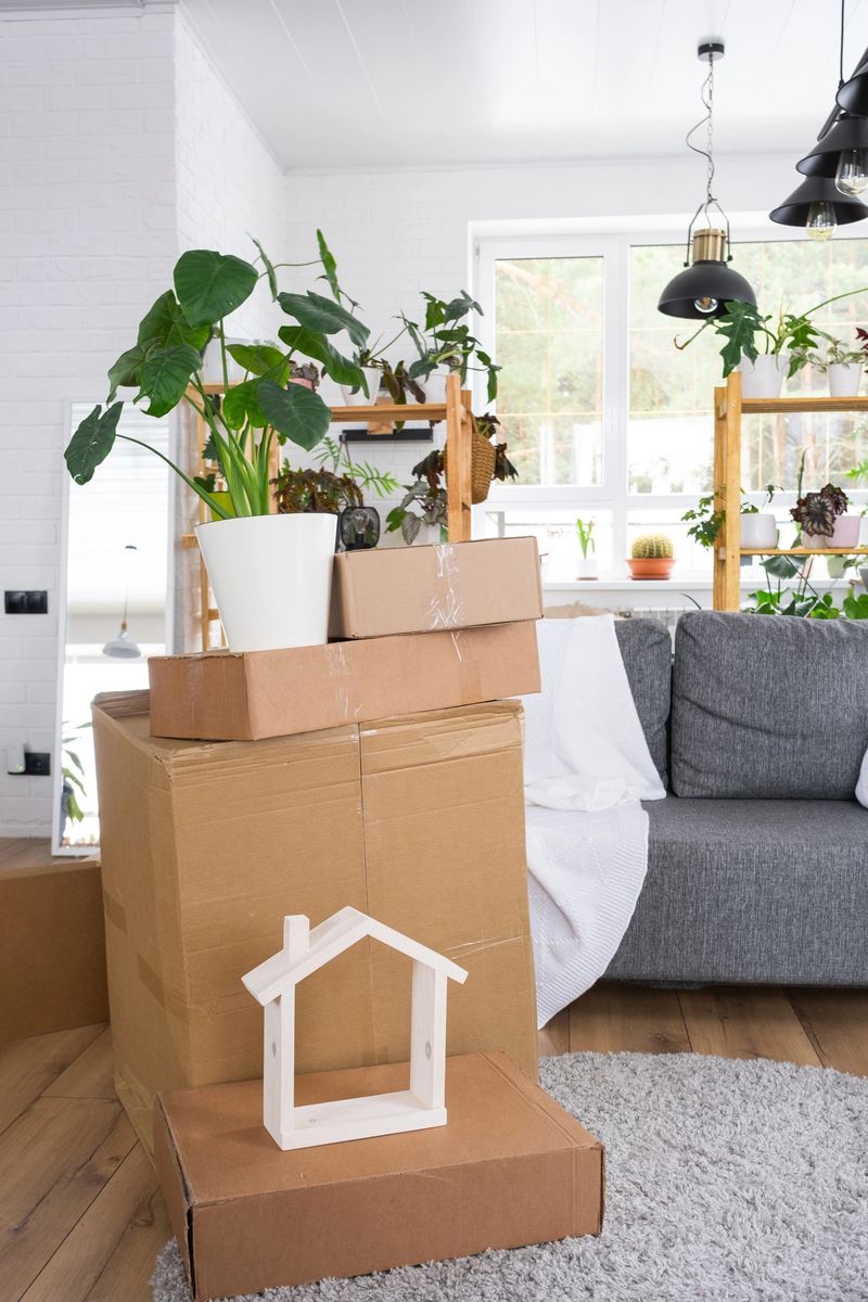 Boxes with things for moving and house plants are in the room of the new house. Housewarming, family property, cargo transportation and delivery of things