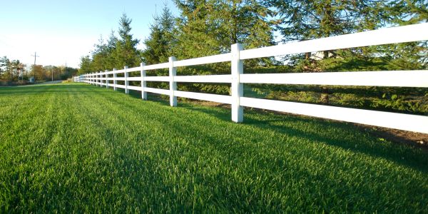 White wooden fence along a green grassy field.