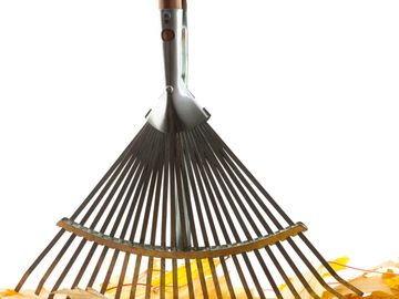 A garden rake with fallen leaves on a white background.
