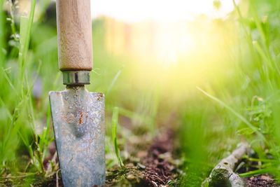 Sowing in the weeds