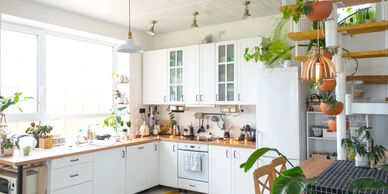 Bright, modern kitchen with white cabinets and numerous green plants.
